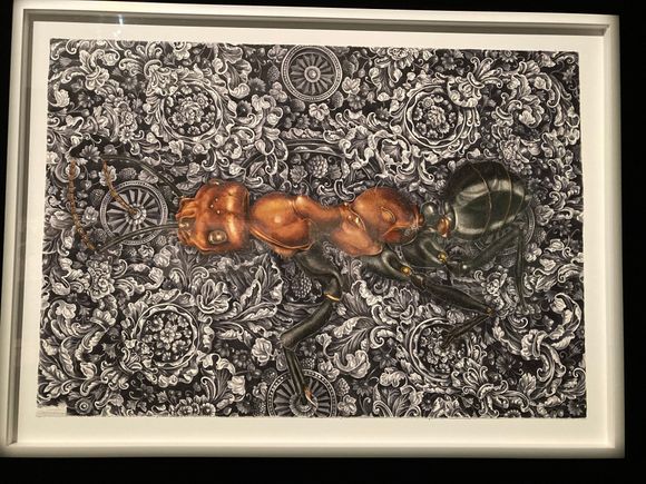 From her time as war artist in the Middle East.