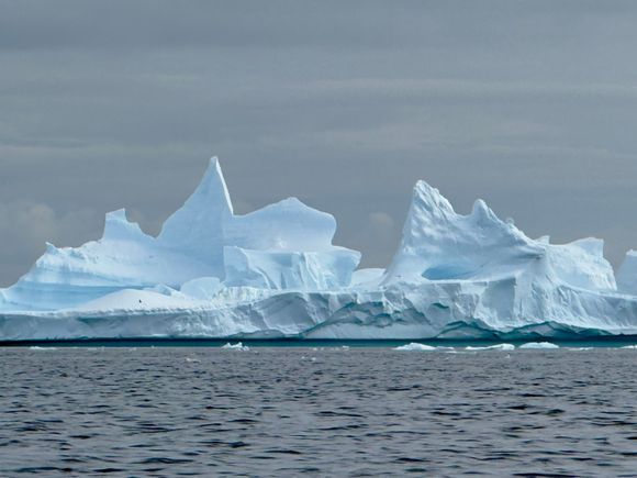 The icebergs came in all shapes and sizes, but this one was the most jagged I saw during the trip.