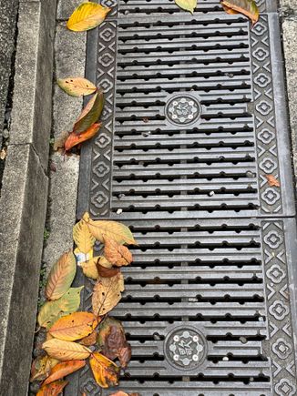 Love the elegant grate!