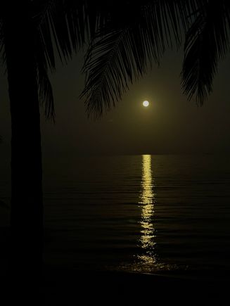 Tonight’s beautiful full moon from our backyard 