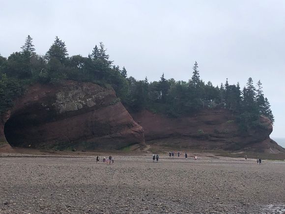 Sandstone sea caves at St. Martins, NB