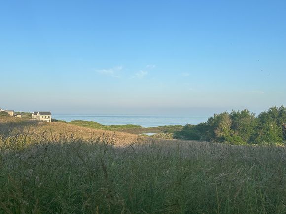 I take this all for granted sometimes but this looked like a watercolor