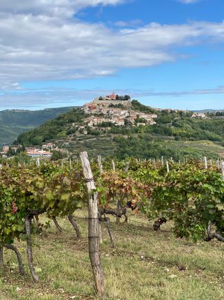 Motovun from the distance