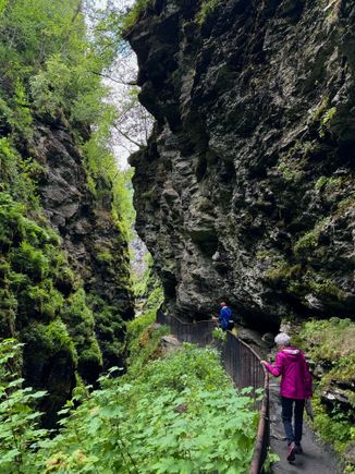 Gorge located 20 minutes outside of Voss. Short but sweet!