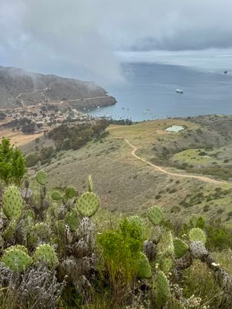 That’s our 100 passenger ship (only 80 on board though).