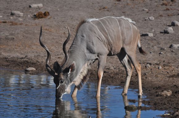 Very vary while approaching water
