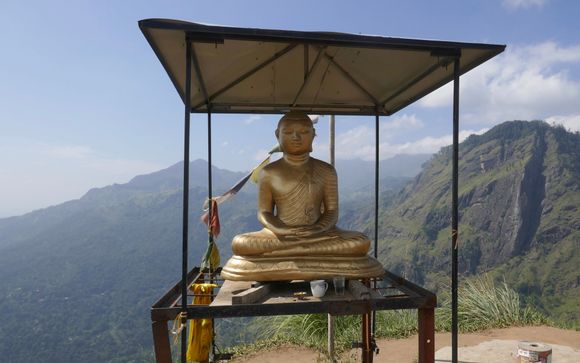Serenity at the top
