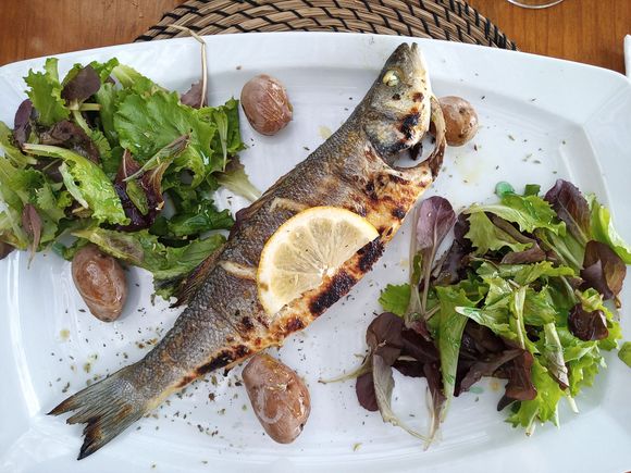 Robalo assado no forno, oven roasted sea bass