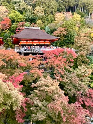 I don't remember the colours being this vivid!