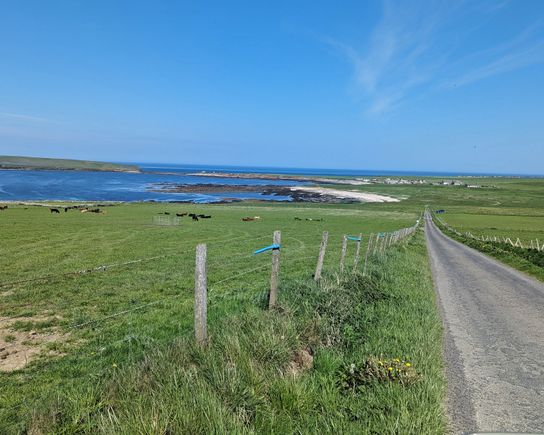 Typical road in Orkney