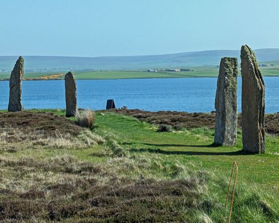 They offered a sharp contrast to the rest of the scenery