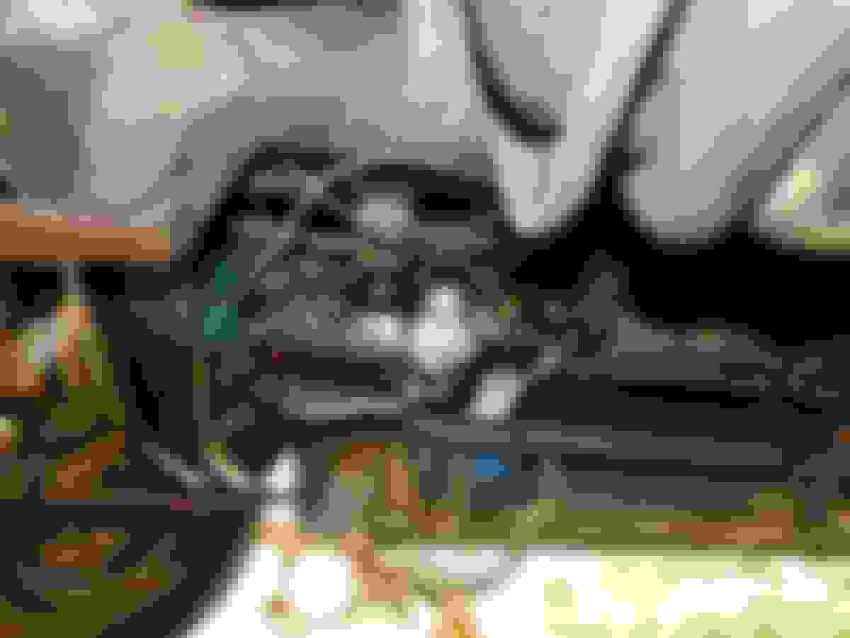 craigslist ad chesapeake va 1955 Ford Truck Enthusiasts Forums