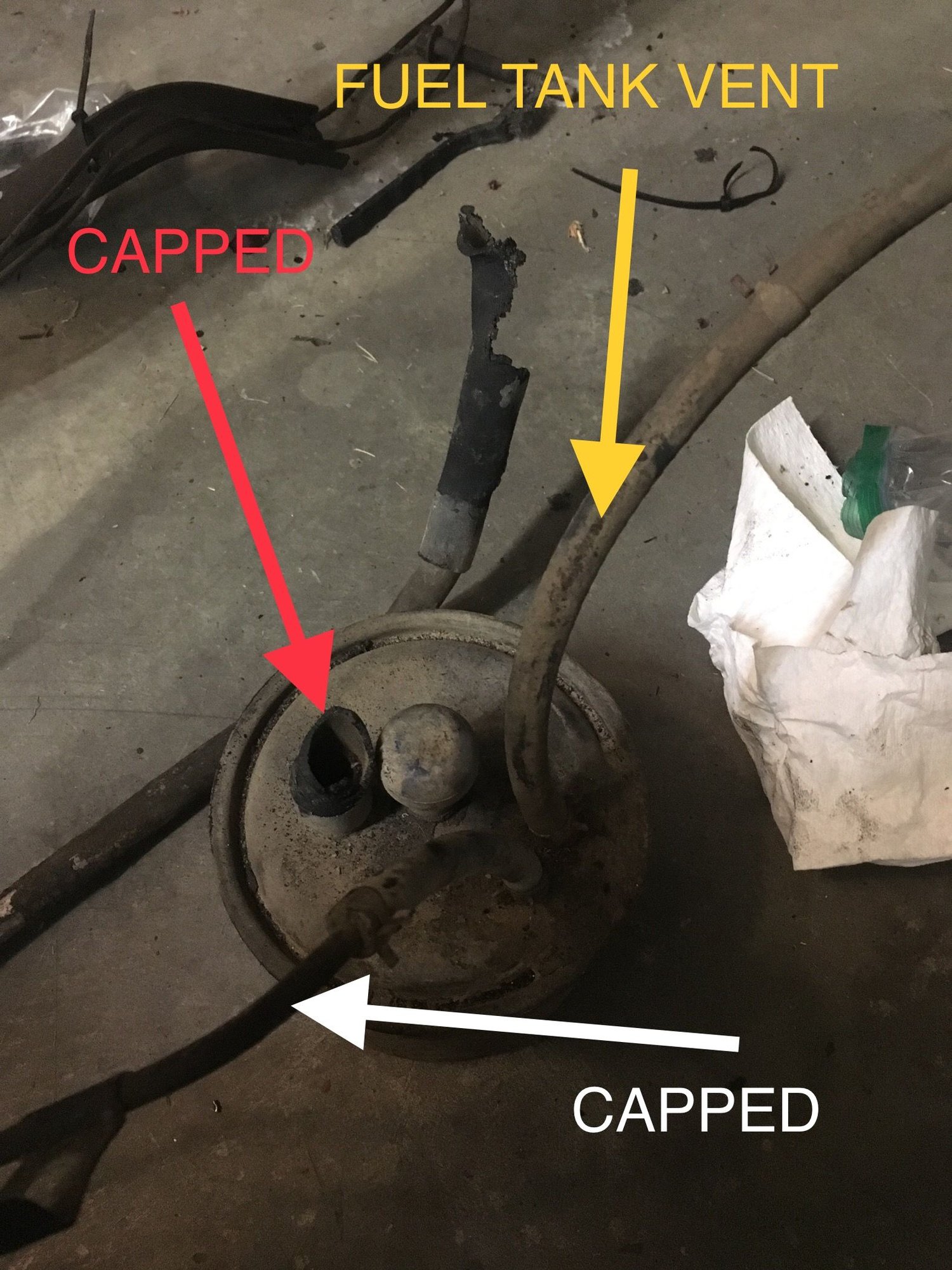 Charcoal Canister Plumbing Ford Truck Enthusiasts Forums