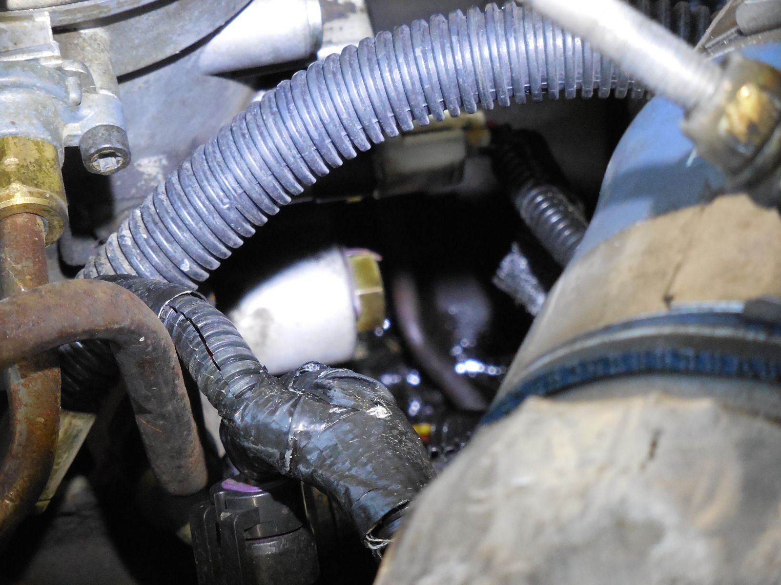 What are possible sources of oil leak in 7.3 valley. Ford Truck