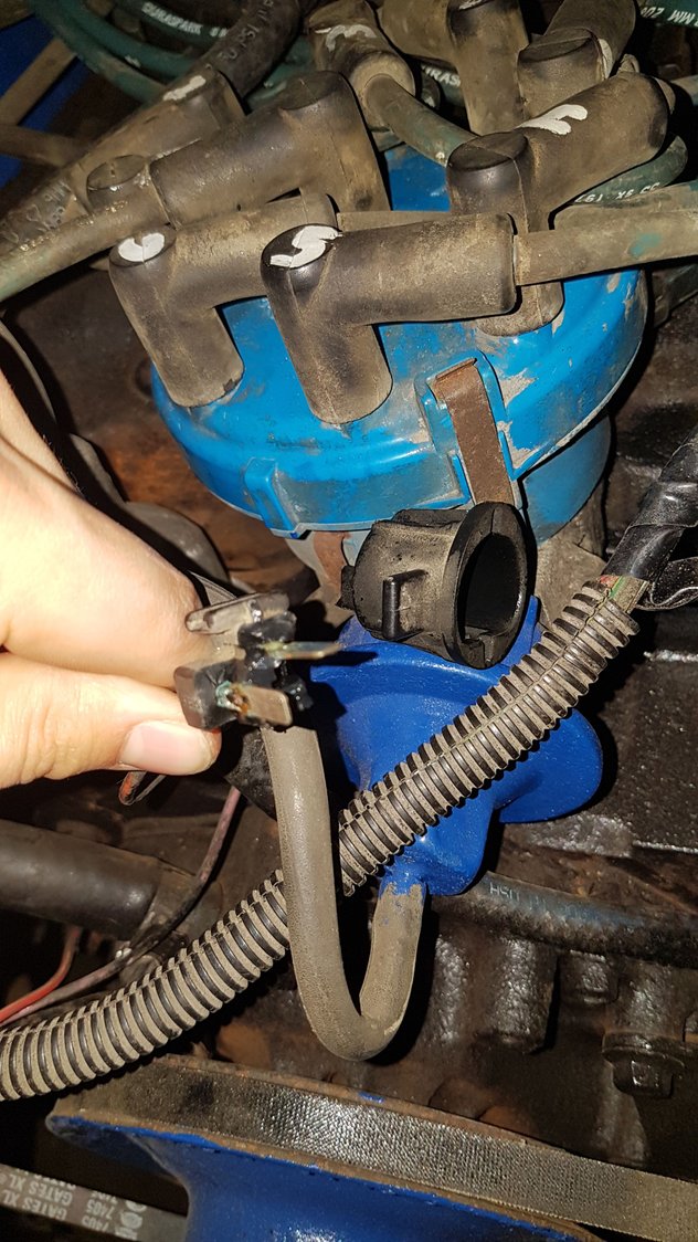 351M distributor plug Ford Truck Enthusiasts Forums