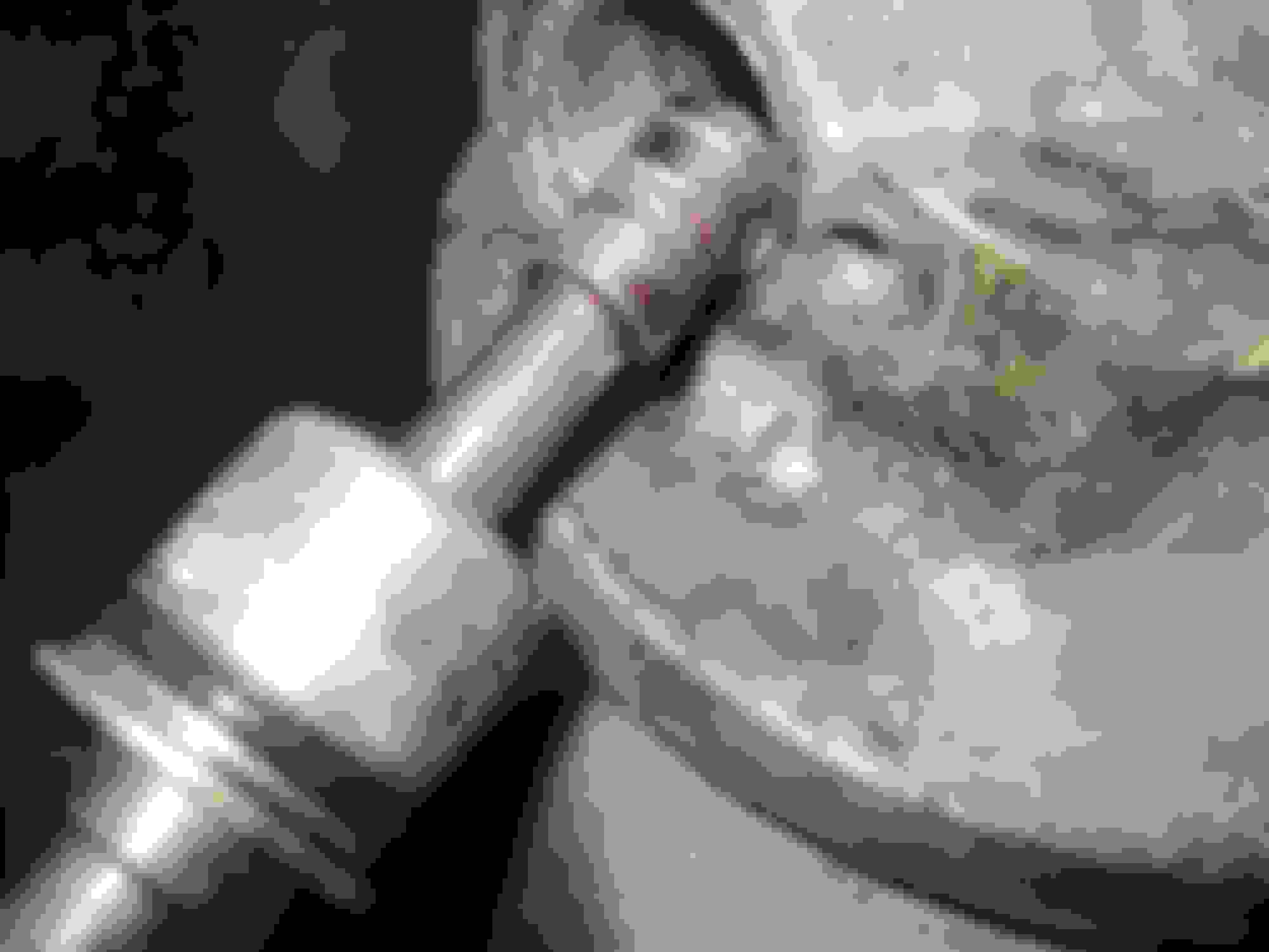 Tail light fuse keeps blowing Page 2 Ford Truck Enthusiasts Forums