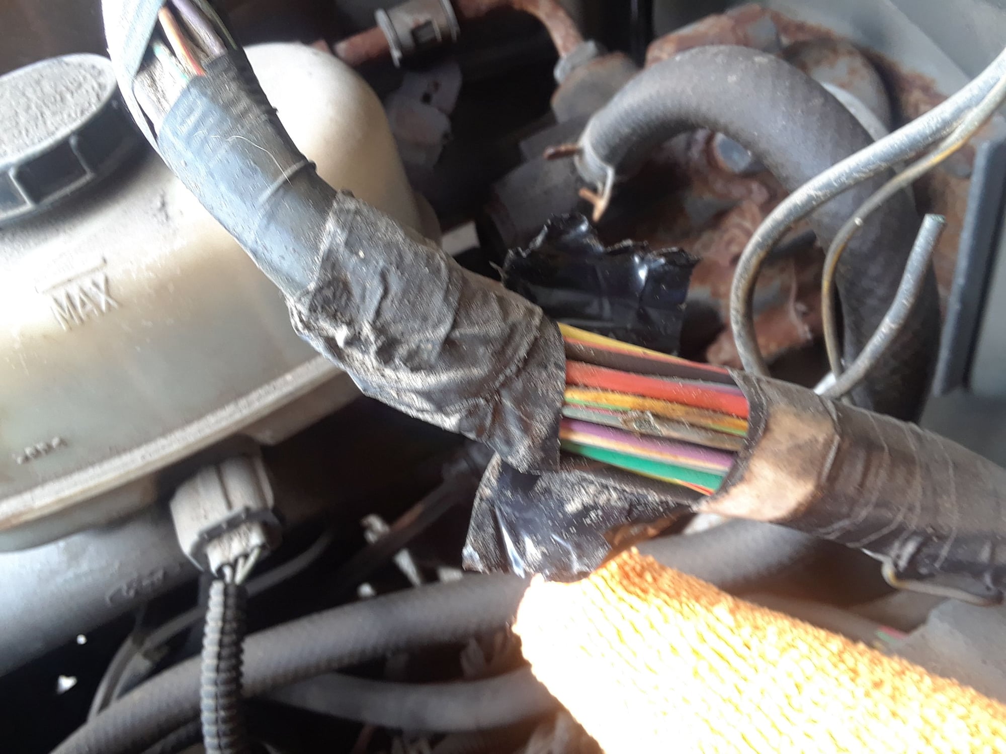 What wire is this - Ford Truck Enthusiasts Forums