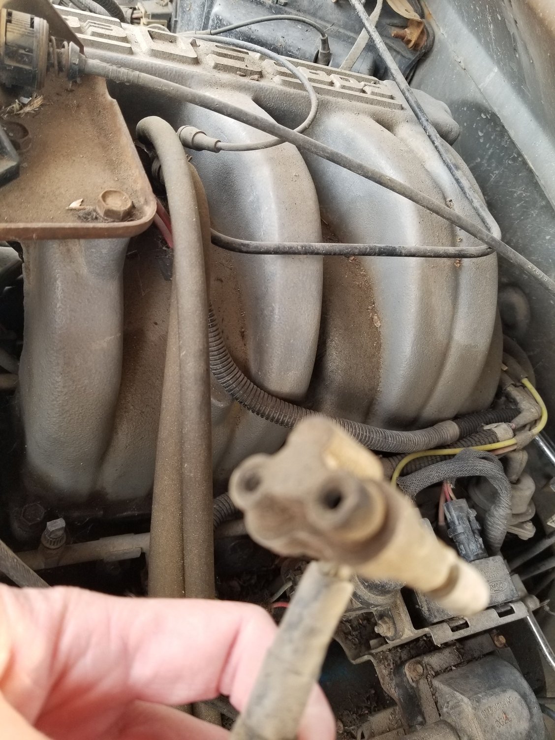 '90 f150, 302 v8. "Coffee can" vacuum reservoirs Ford Truck