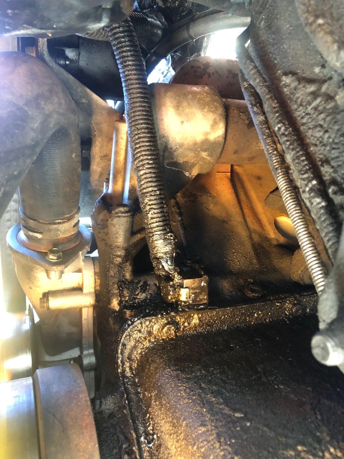 What is it - Oil leak front of engine: Pictures :) - Ford Truck 5.3 Oil Leak Front Of Engine