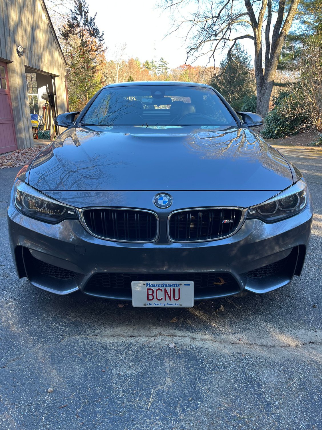 BCNU on the plate/tag.