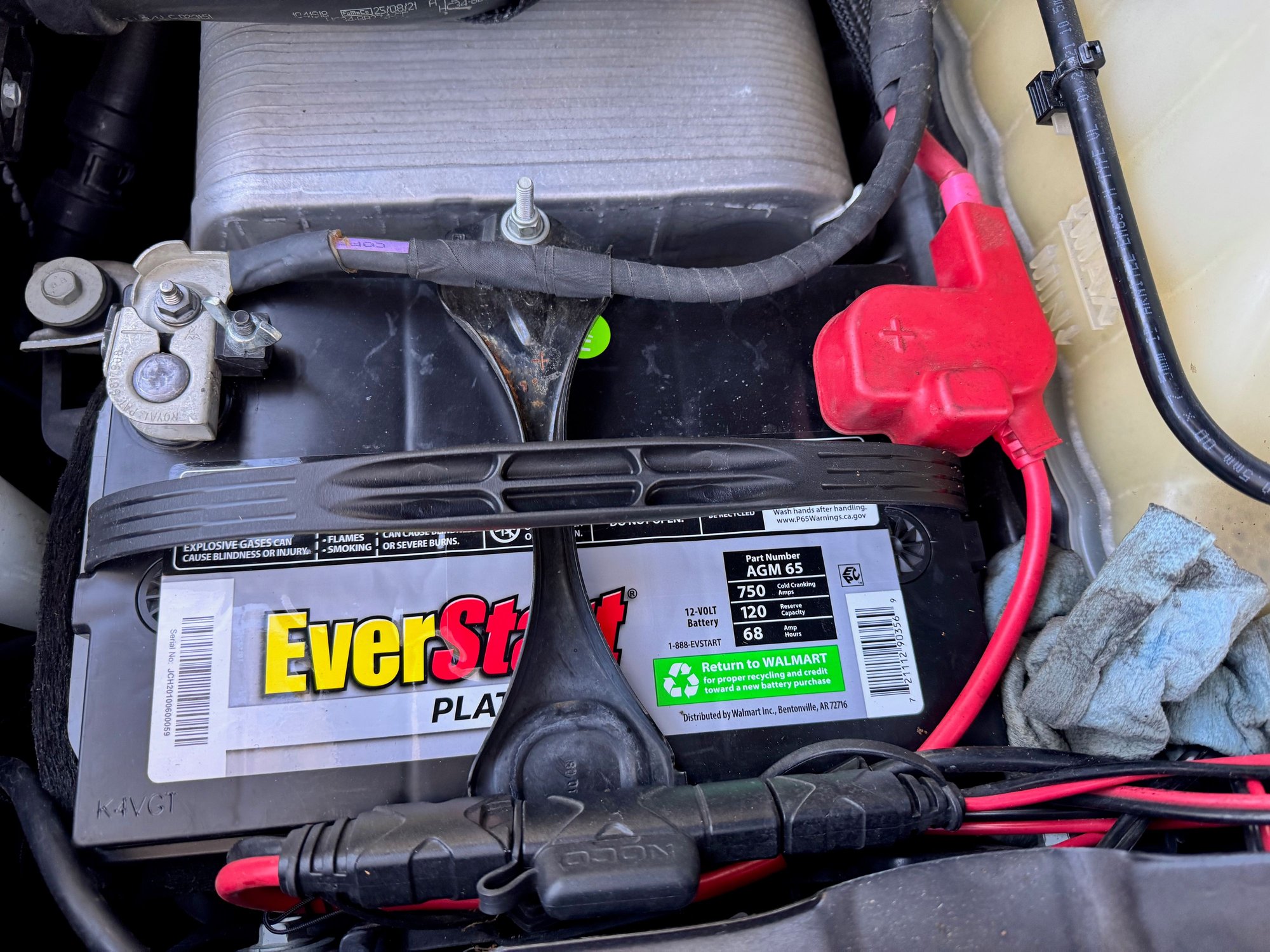 Everstart Platinum AGM Group 65 driver side battery.