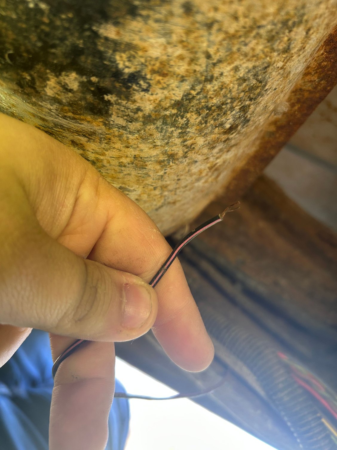 Chewed wire