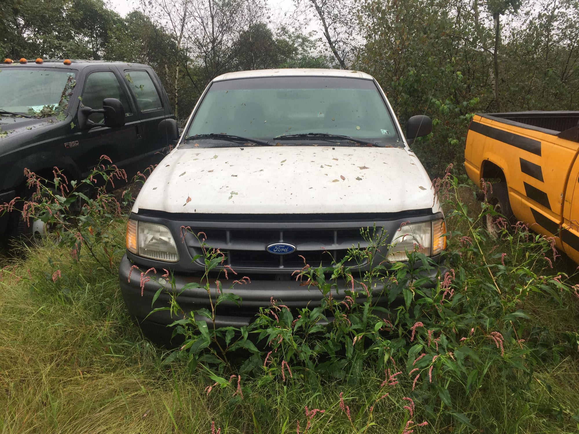 1998 Ford F-150 - 98 F150 FOR PARTS OR REPAIR NEEDS TRANNY GOOD SOLID TRUCK BLOWS COLD NO RATTLES - Used - VIN 1FTDF1721VKC95747 - 190,000 Miles - 6 cyl - 2WD - Automatic - Truck - White - Shenandoah, PA 17976, United States