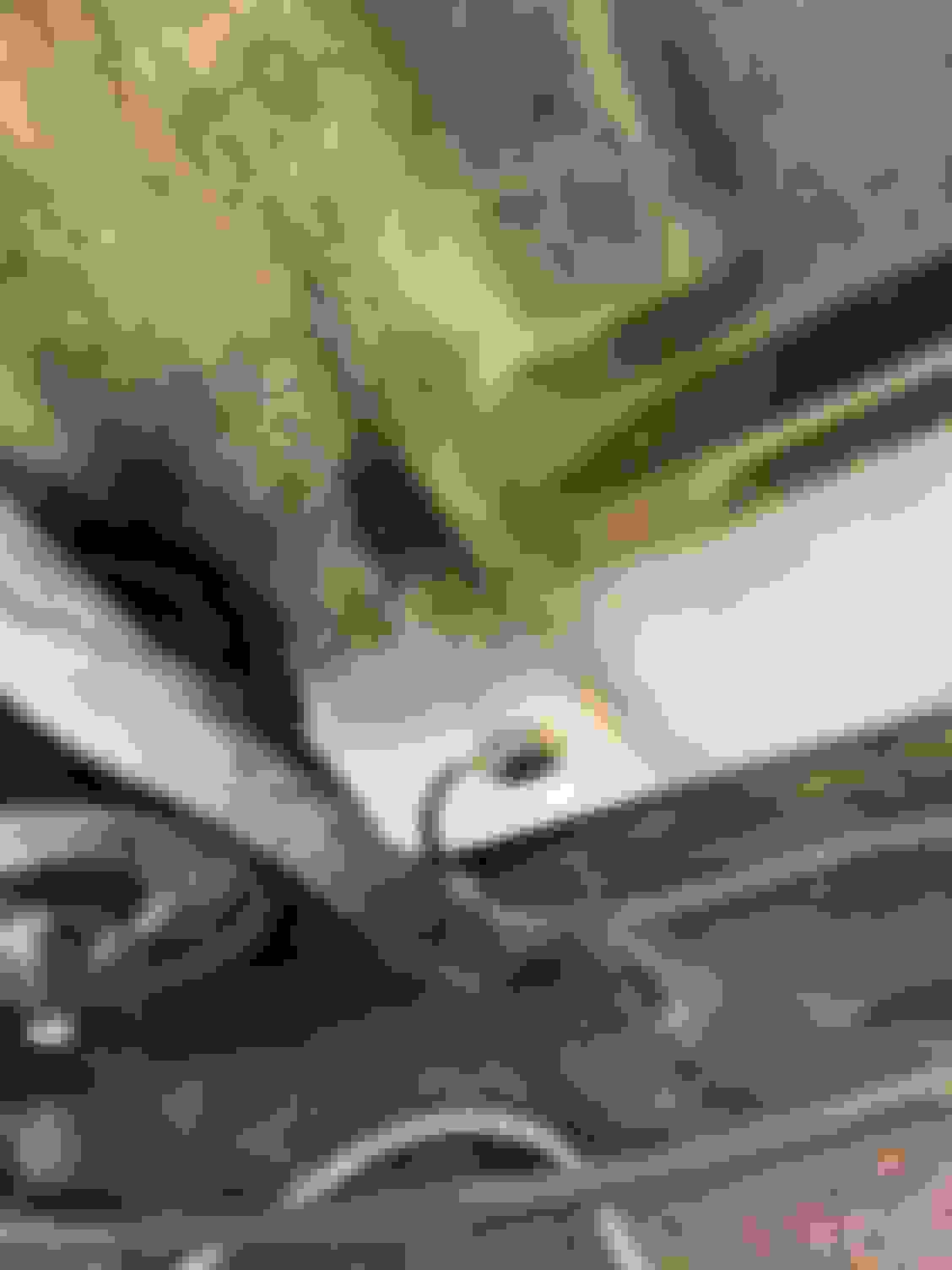 Electric fuel pump not working Ford Truck Enthusiasts Forums