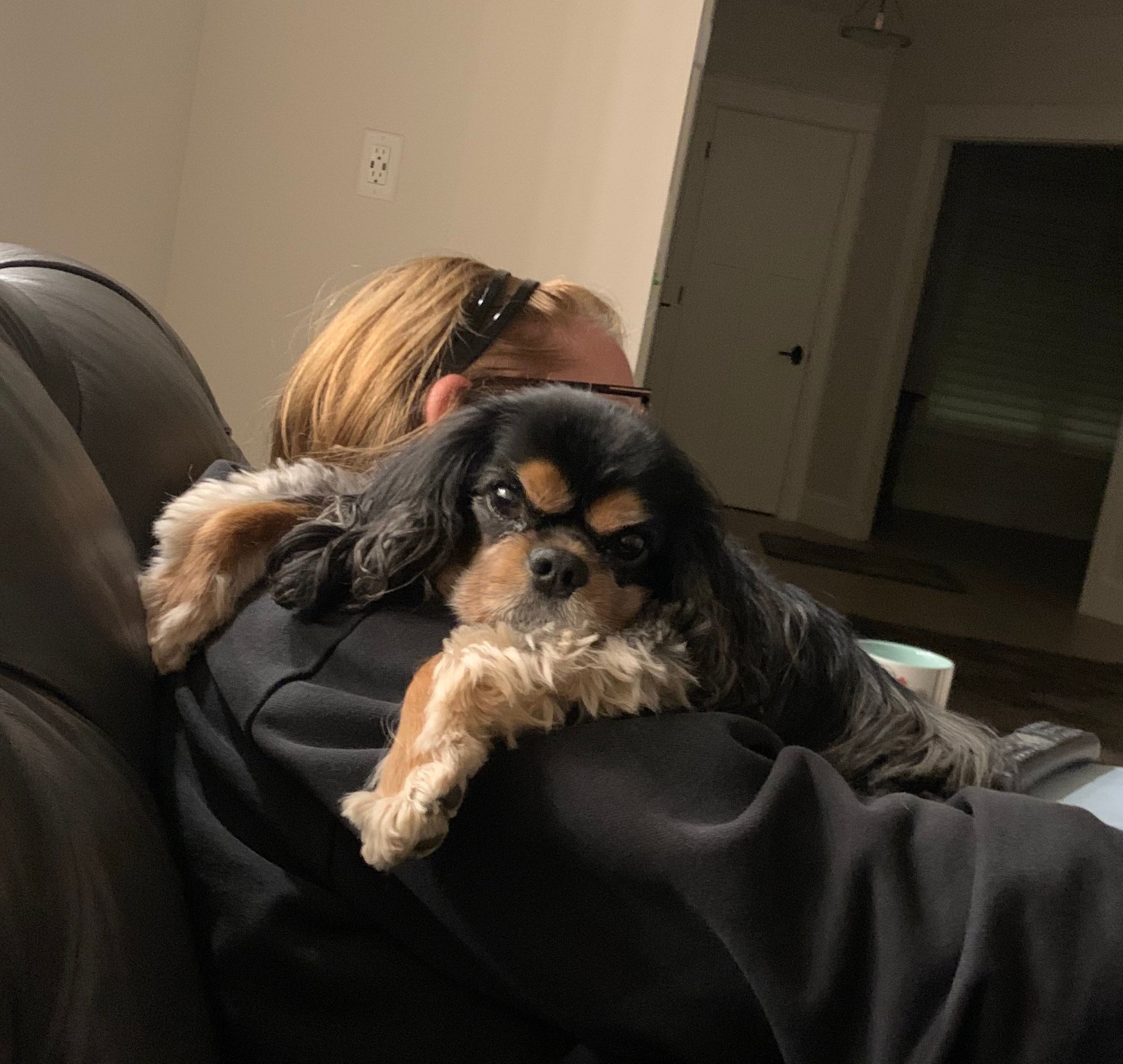 Floyd our Cavalier. He will be 10 in November 