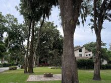 Looking towards my neighbors house behind me. Oaks & moss as far as the eye can see. 