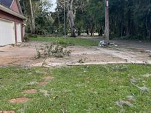 Side yard looking towards the main road. 