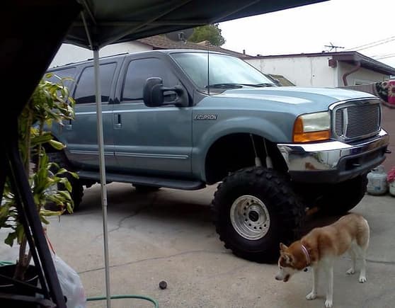 my Siberian Husky &quot;Juliet&quot; next to her poppas truck :)