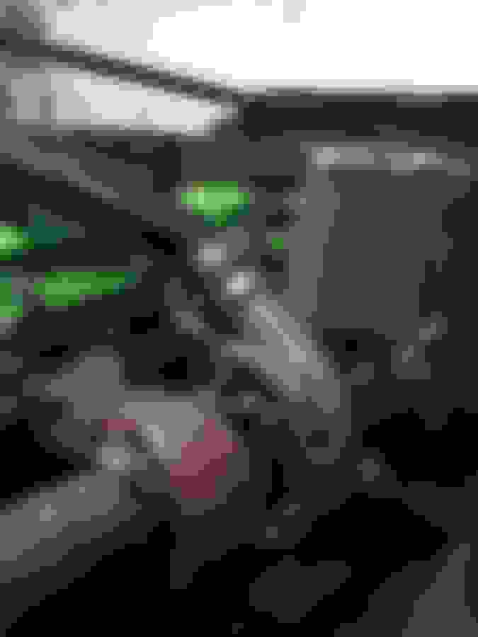 Knoxville Craigslist Add Ford Truck Enthusiasts Forums