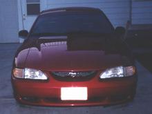 Mustang 001