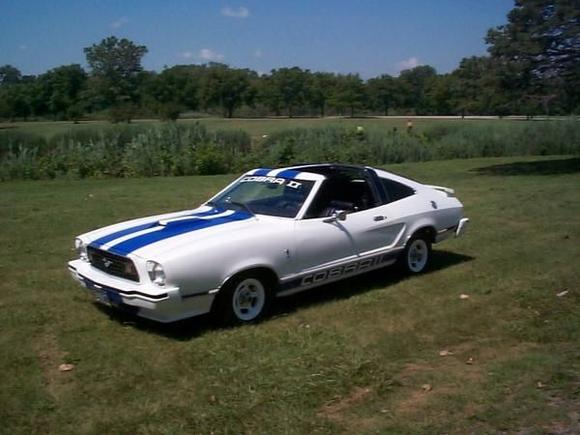 stang2