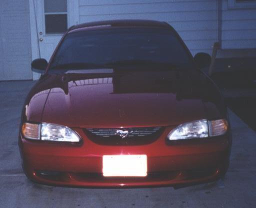 Mustang 001