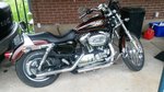 2009 Sportster XL1200C