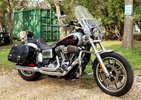 2014 FXDL 2014 FXDL