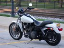 Garage - Dyna Pig