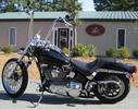 Black Betty, The Softail