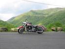 08 Custom Softail Deluxe