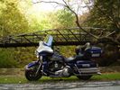 Bikes
