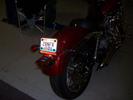 rear signals on dyna