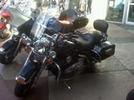 My Steed