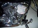 8/16 2009 Incident - WARNING: Album Contains Gruesome Medical Photos!