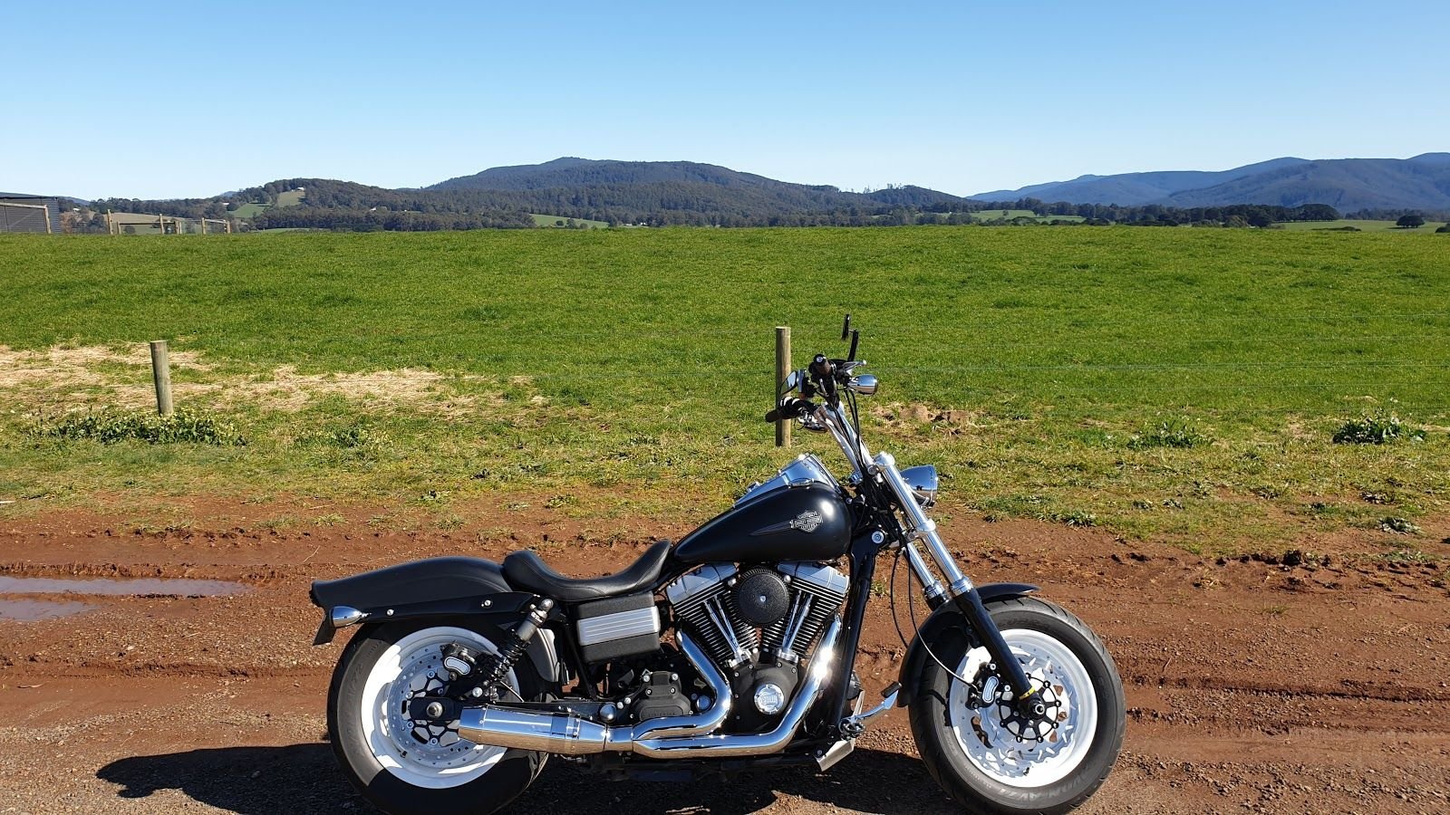 Fat Bob Owners : Please picture if you have apes or T-Bars ! - Harley ...