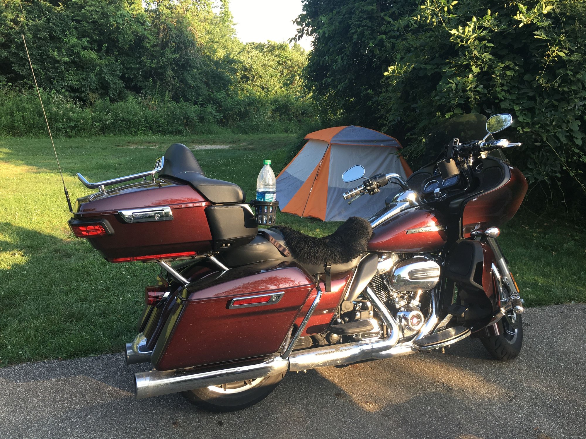 Sheepskin seat cover Page 4 Harley Davidson Forums