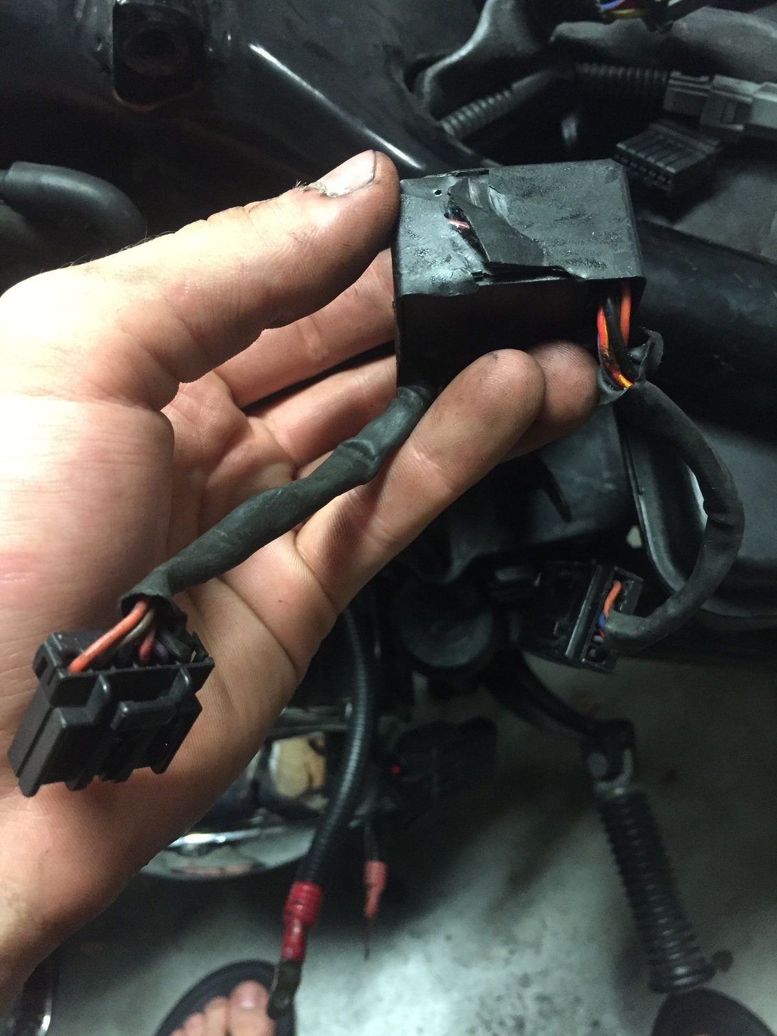 Turn signal issues Harley Davidson Forums