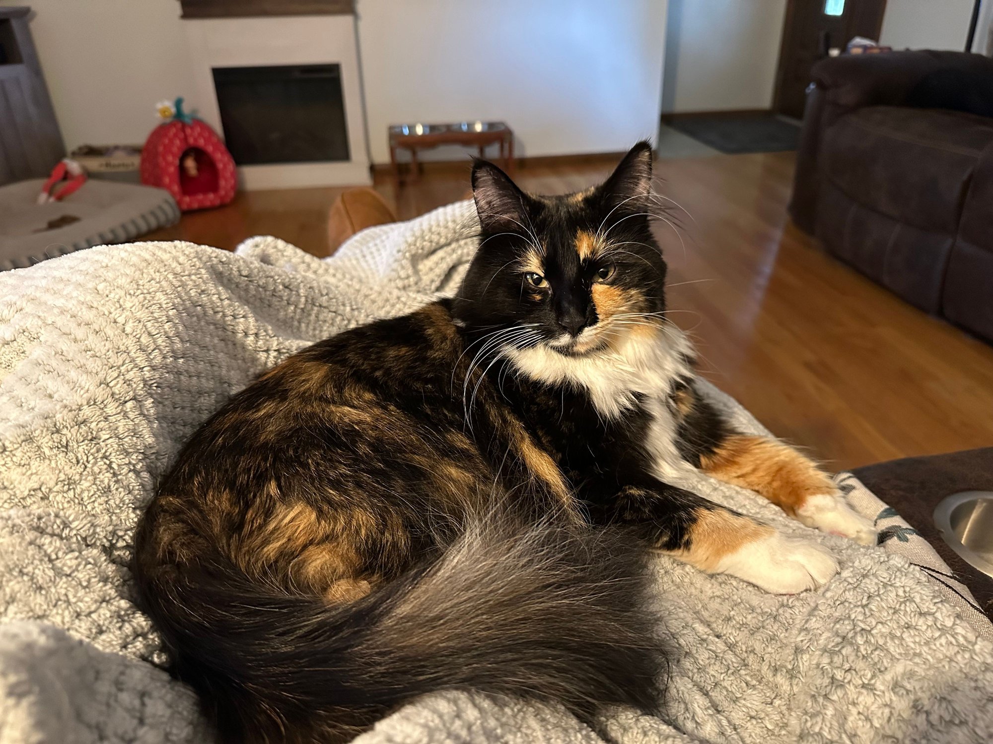 Snickers