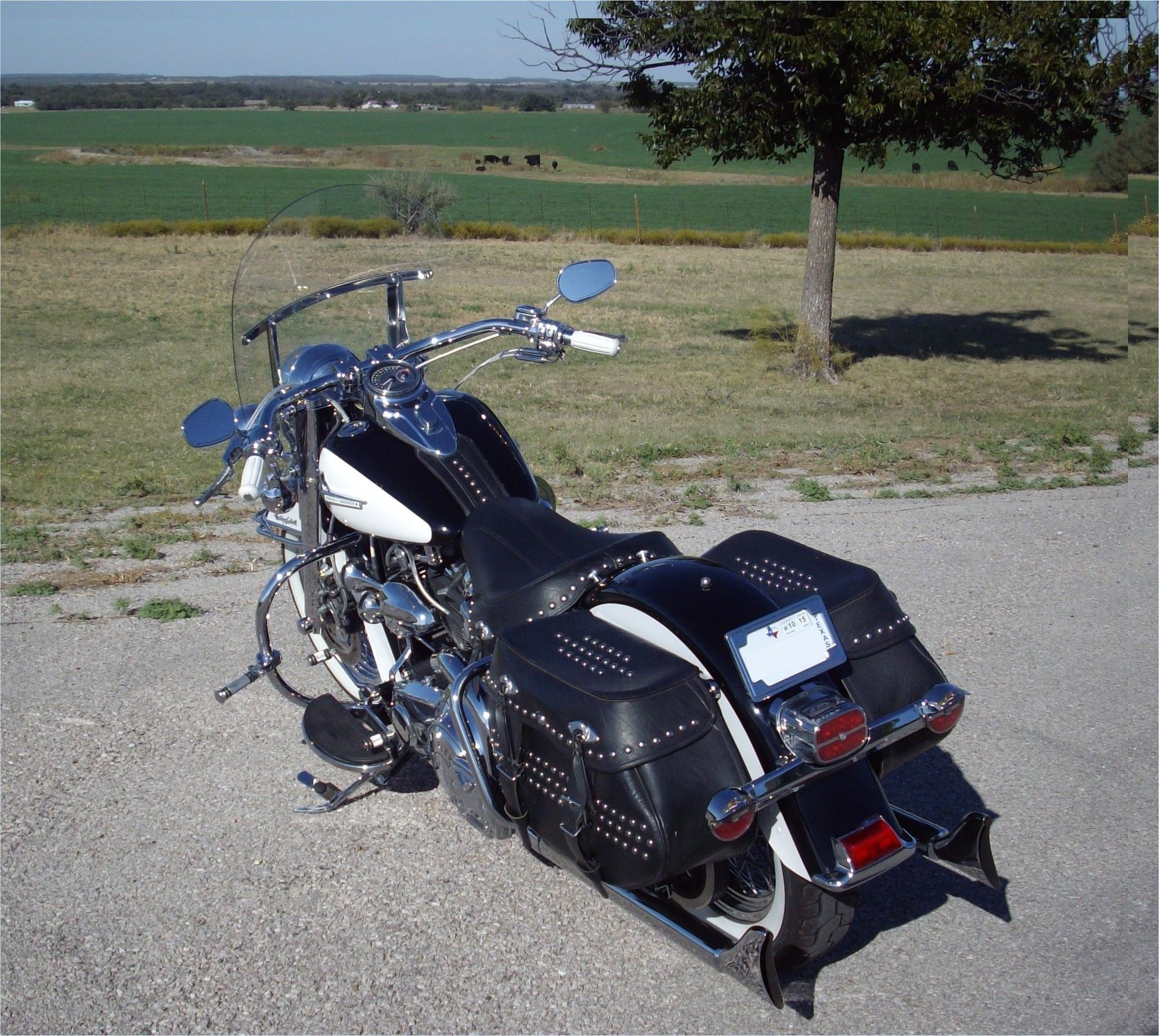 harley davidson beach handlebars